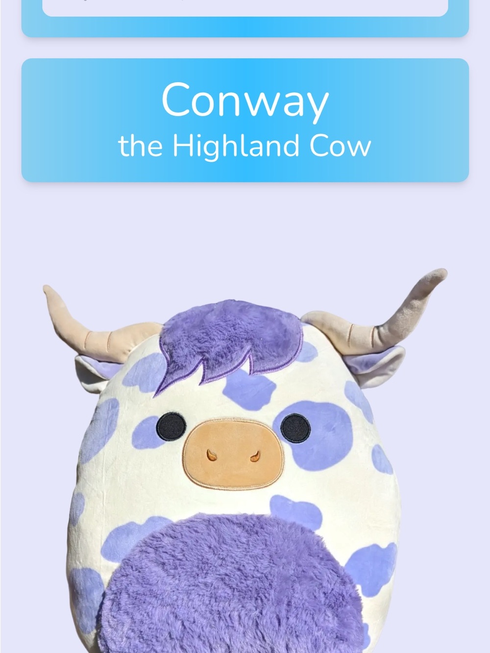 Conway the Highland Cow Squishmallow (16”)